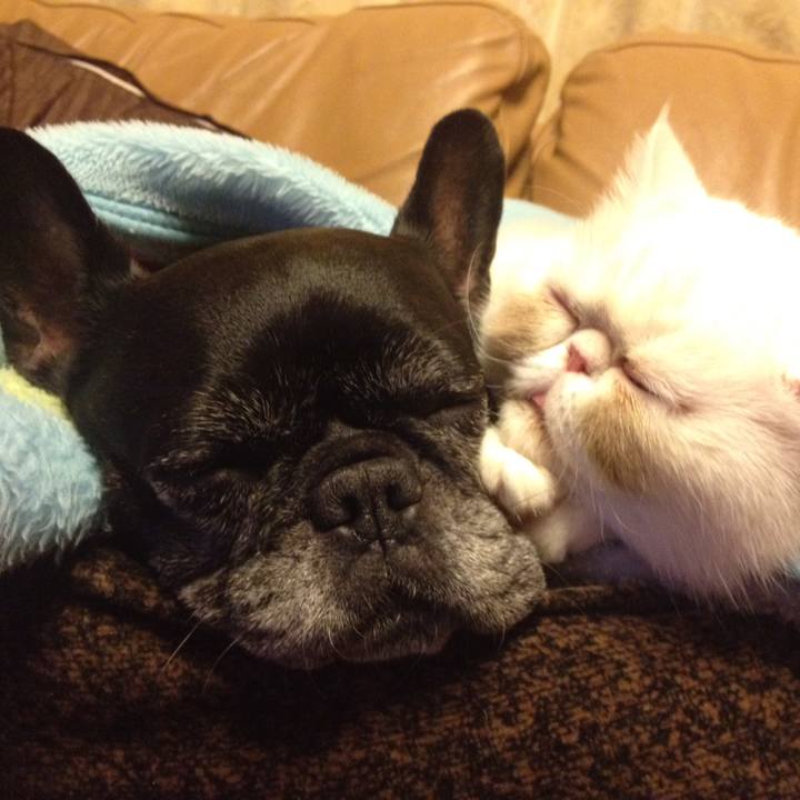 B02d0583 870d 472a 9d0f 3dea0f1fdd29