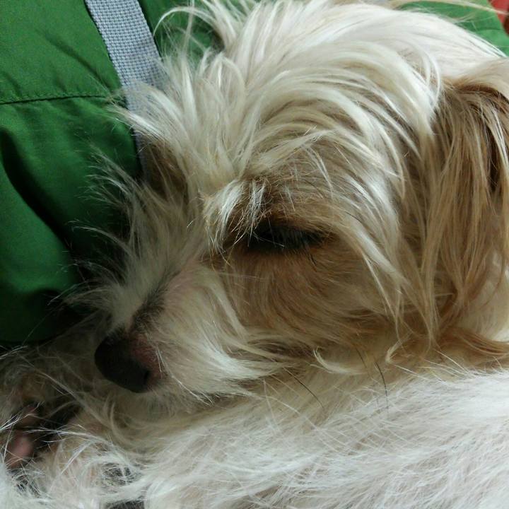 B02d6a6c 46ee 4282 a8d7 37af692f5bfd