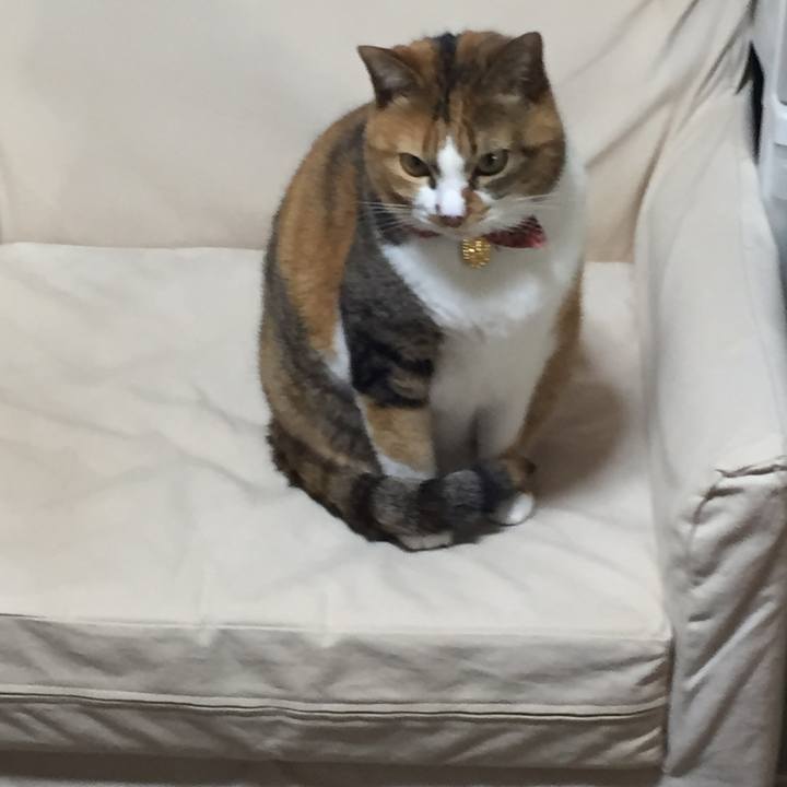 B02d7d9d 3899 406c 9554 0d49df5e438a