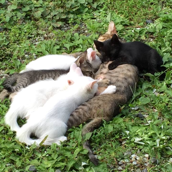 B02db11f 399b 4ca3 a312 f4a608e5a7ba