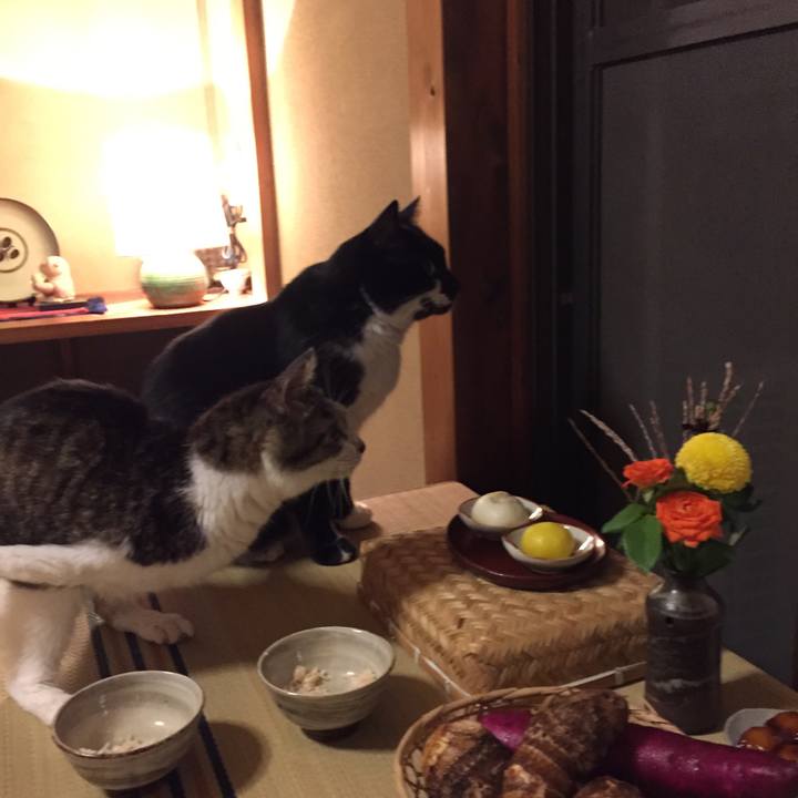 B02dcd65 7410 4b3d ac87 c923ed229bcb