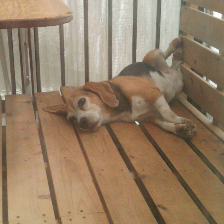 B02e6b05 63e6 4a15 8fc6 33a93118f5cc