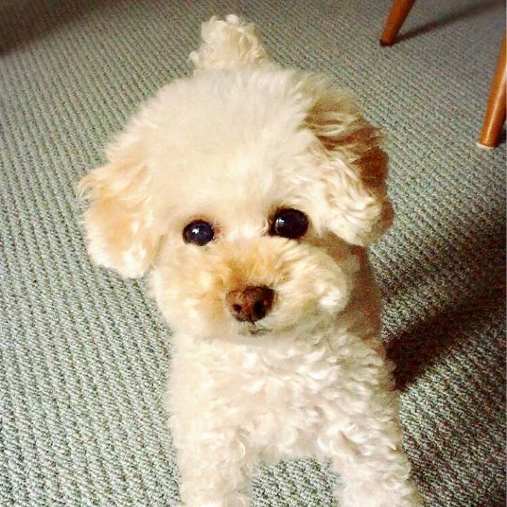 B02f09bc bc17 4cc1 bc88 be78906a5a33