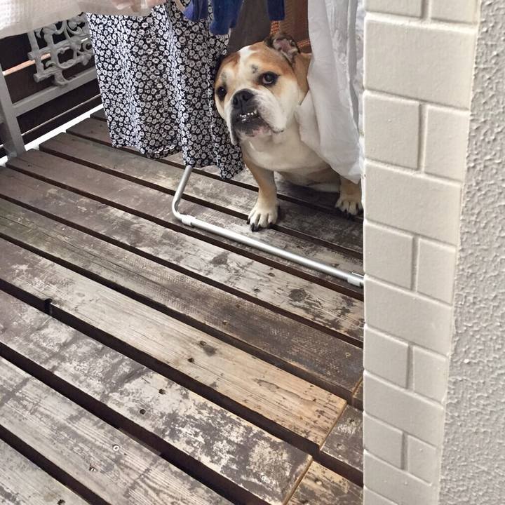 B02f247b 823c 40de ac54 009c7630a5f5