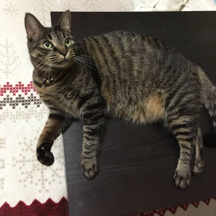 B02f40ec 5a68 442b aba1 93a8544921cd