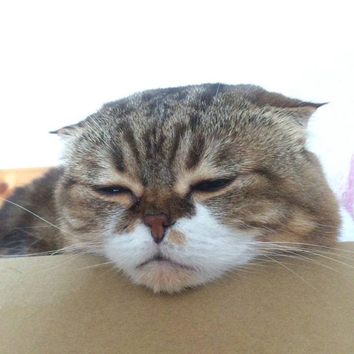 B0300ffa e1f0 43c1 a6b3 3105e1531947