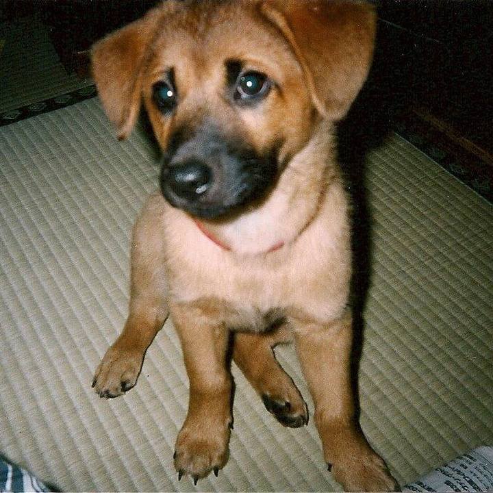 B0304b2c cced 4a4e 8f87 9eadd369470d