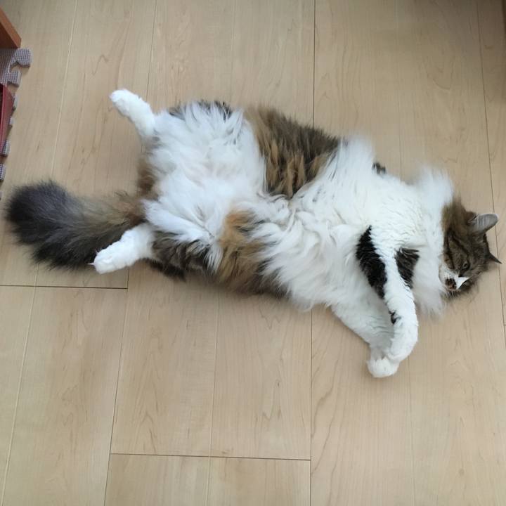 B03095dc a18d 4de5 b79d 747232b1f8b3