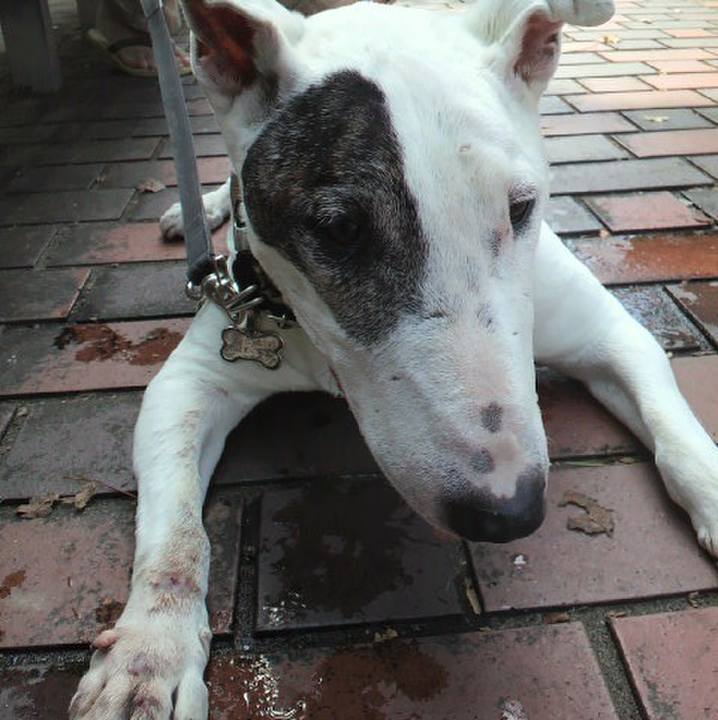 B0309e56 d95f 4eaa bb72 66182edd3fc9