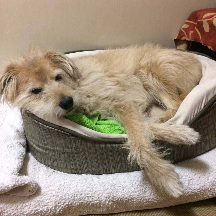 B031be7c ac35 4895 afc8 436ef4acac5e