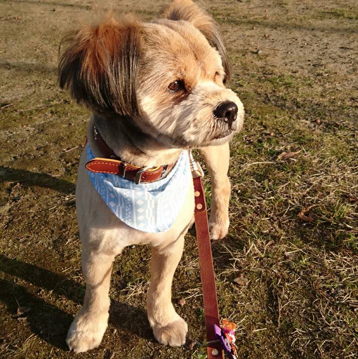 B0329a67 c84a 49cb a4cb 444abbc52178