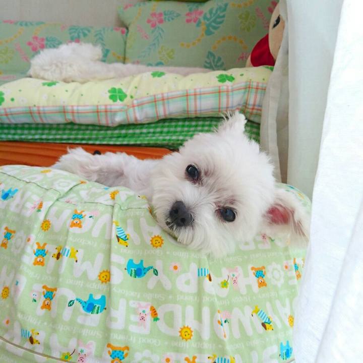 B0329b0e be38 4cfb 9317 d55a76b9bb58