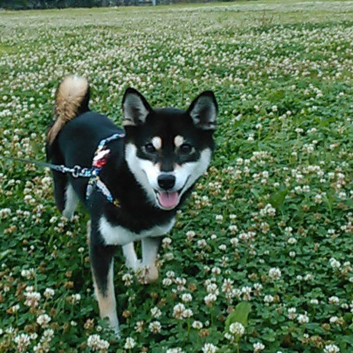 B032fd14 89f8 437d bd5e 4c0e596ea1dc