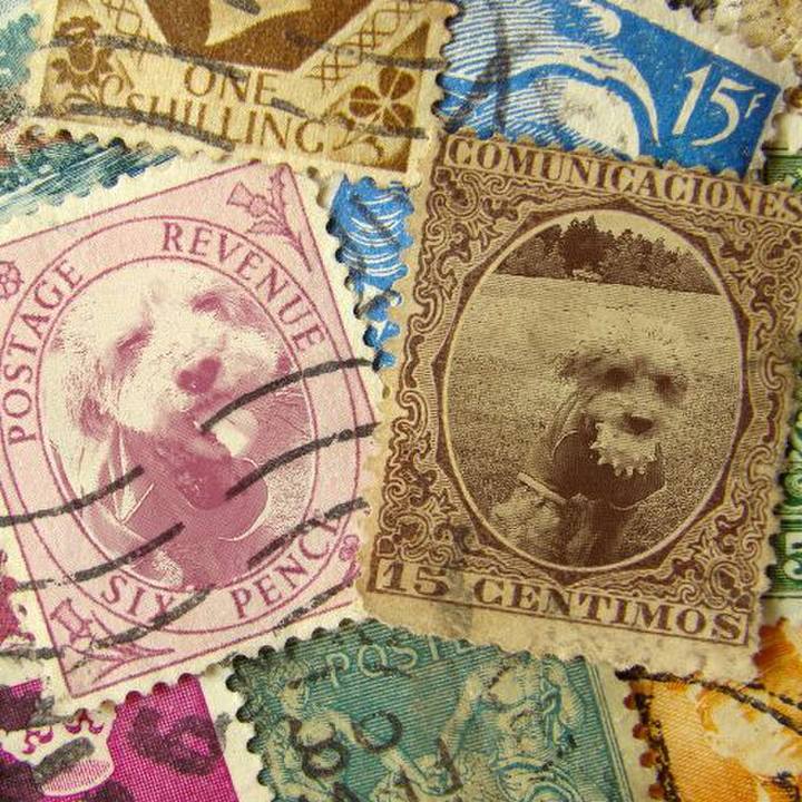 B033b4aa 0d51 4b93 8579 3447d66a8457