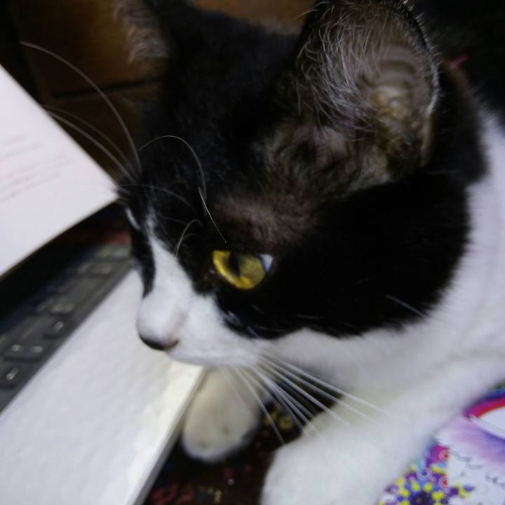 B033fb89 1ca3 48e6 9fbd 16561805f2e1