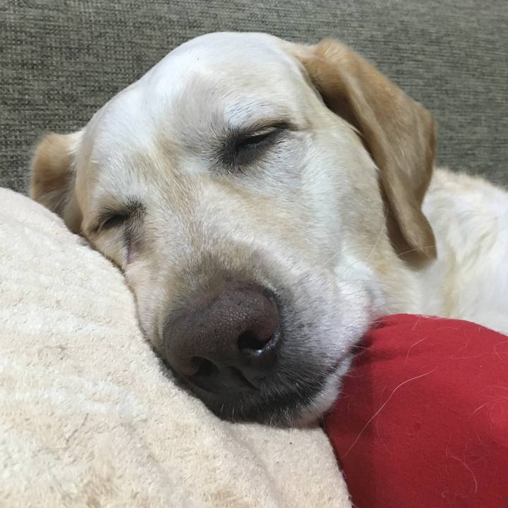 B0341c2a 9185 4593 8f0a 2c1f234b0518