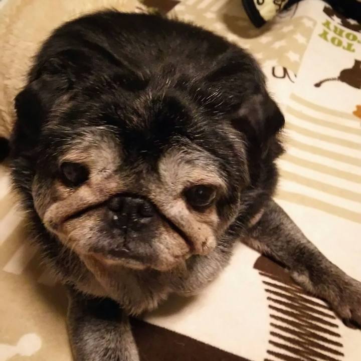 B0345179 d60e 4ff0 a334 d45ed995124a