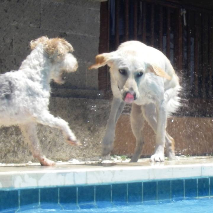 B0346da2 705f 44a5 bd01 ee1bff726f12