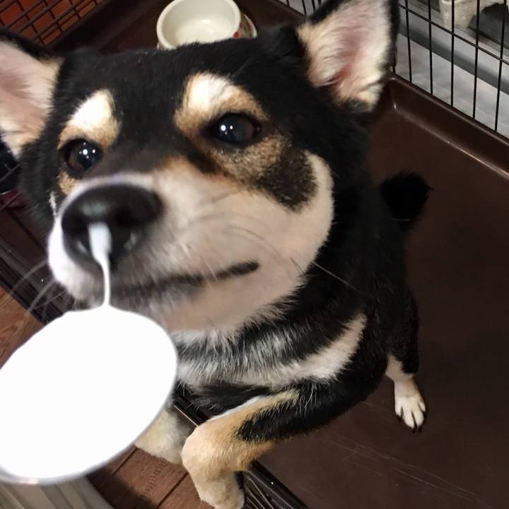 B034b5bd 1787 441d a36b 337b2933befd