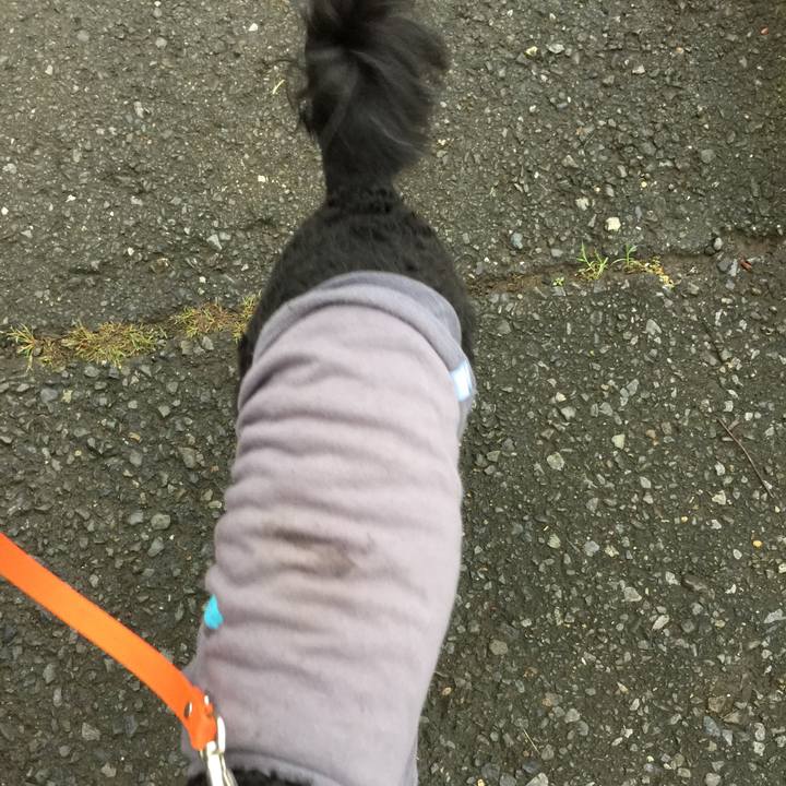 B034c4f4 28ca 4de0 a52f 3c88a5603de2