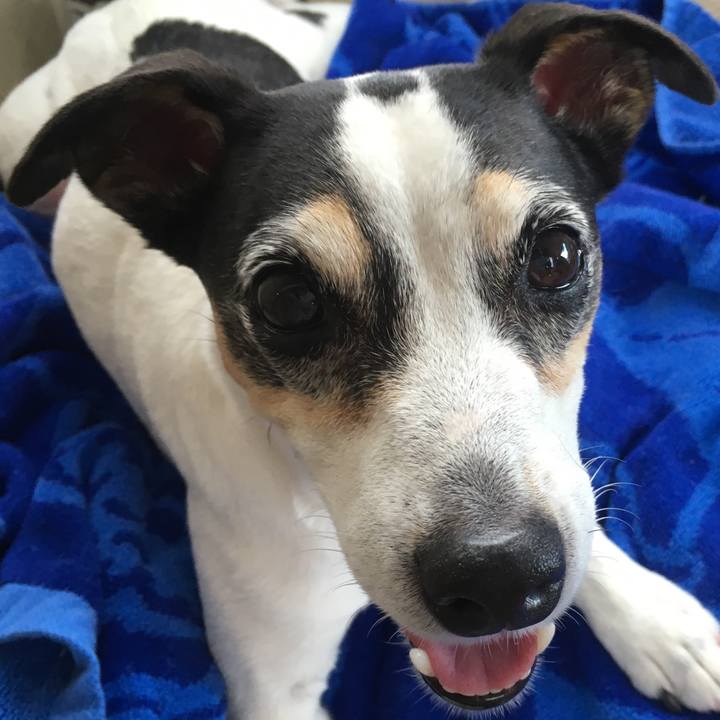 B035387d 7e70 4dc5 b0fd 6eb74a6dcc14