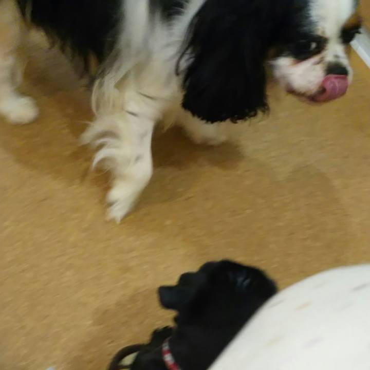 B035dd8a f935 4441 9c56 2604eacd278f