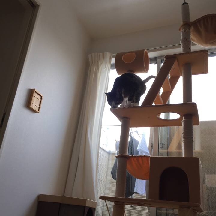 B035feea 6b55 4e3e 9791 c04cdd9dd9a6