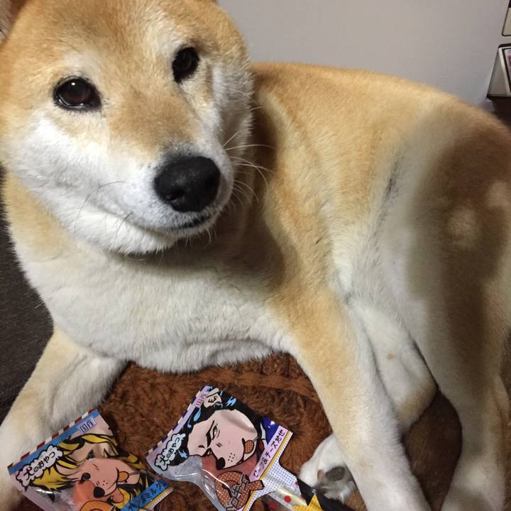 B03637e6 0ee8 49a8 bc84 e9da37a76f54