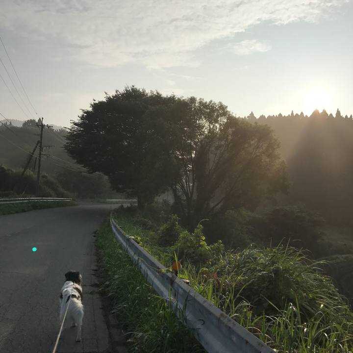 B0366a26 0ec8 498a a5e6 d6abdbf495b0