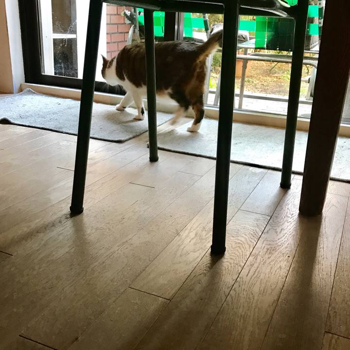 B0372f8c 0e30 4ab1 ad88 b1f63e4422d0