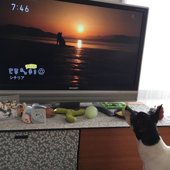 B0373e09 1f5b 4e15 a6cf b0408248c251