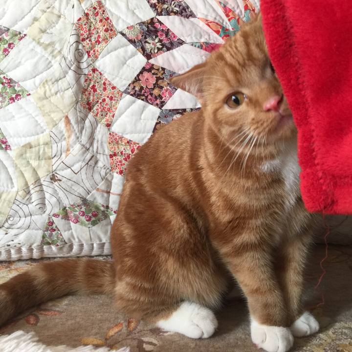 B0377d90 7d28 4921 9d04 ec30a998d001