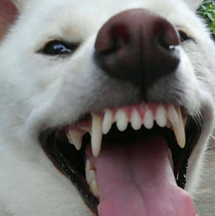 B037932c 80b2 4285 9d32 5115a27a7d87