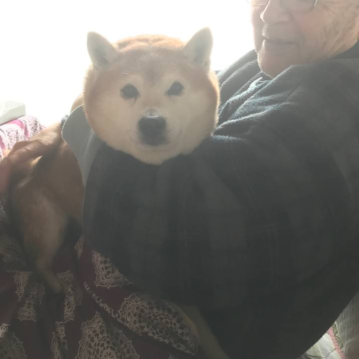 B037f936 fe5d 4050 bc42 82a954a79608