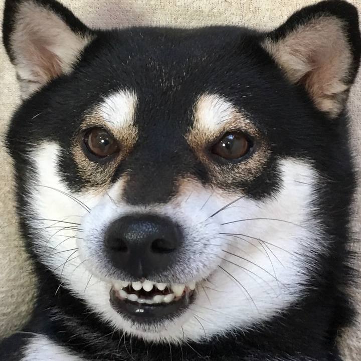 B03809bb c96c 450f b118 0245712a4333