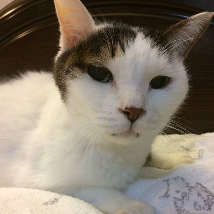 B0383c55 5887 412d be3a e9f8e1c46ae7