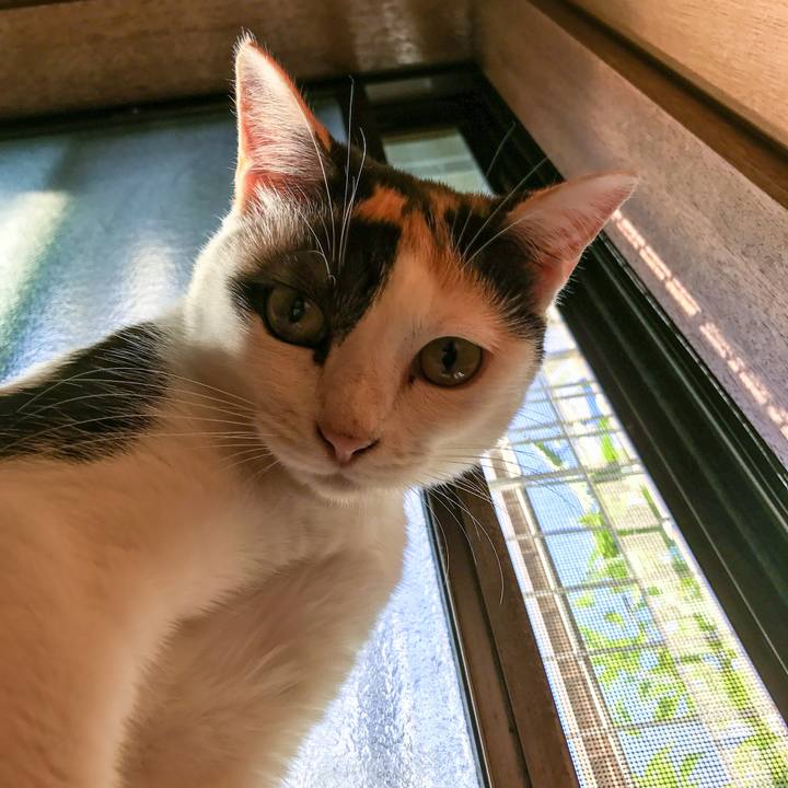 B0384430 3f8e 4d9c 996b c840f8b7f77b