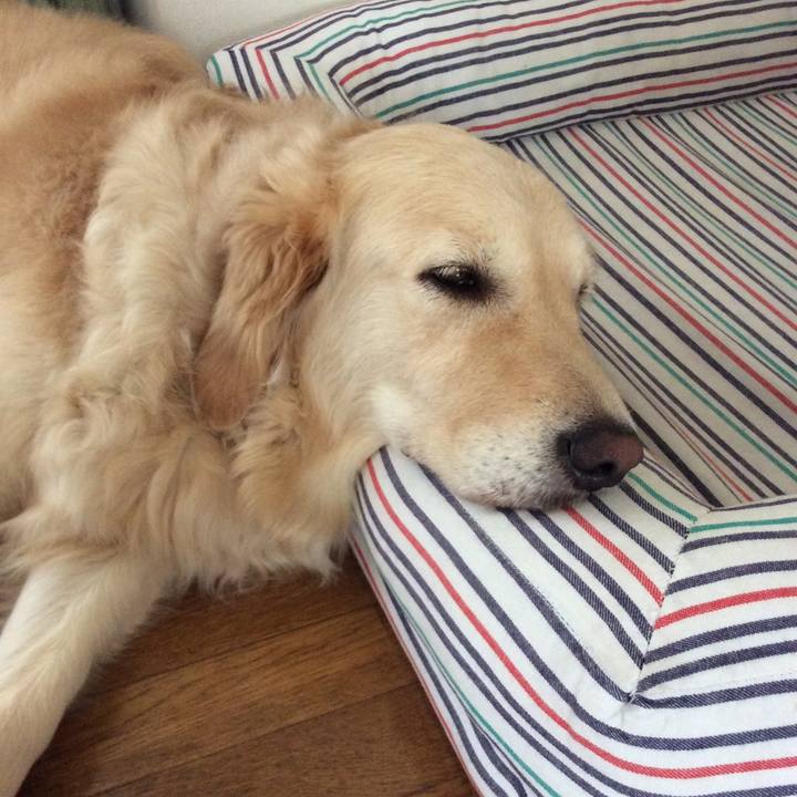 B03856b2 a0f4 4379 aae0 10de8d0f99b3