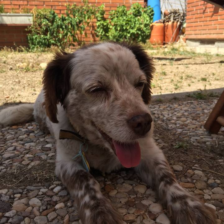 B03868bd 2a27 48df 956e d25c34ac6b21