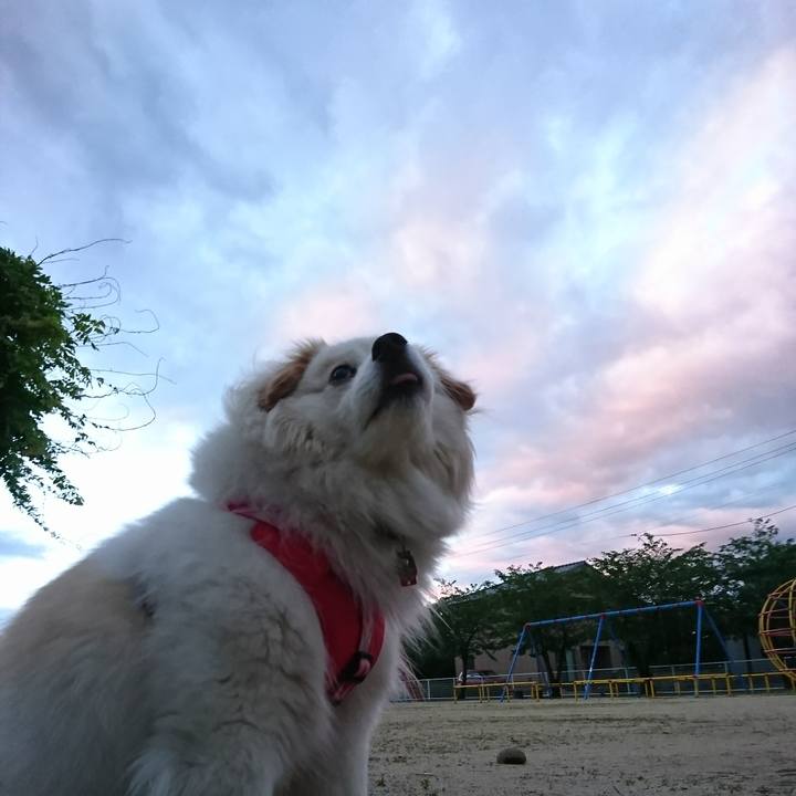 B03ac528 a91a 4072 8883 1f0ca7527f1a