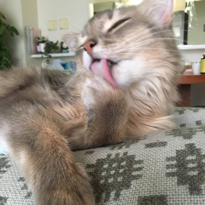 B03b6009 14a4 4b33 8a6f fee8af918170