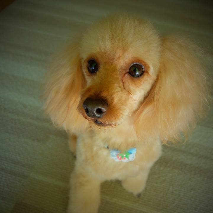 B03b6fe0 a28a 4473 b06f cbc6e5a9ed25