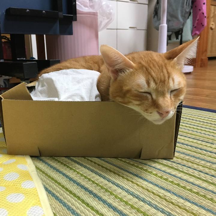 B03bd161 805f 4223 99c9 3f9bd7bf1f94