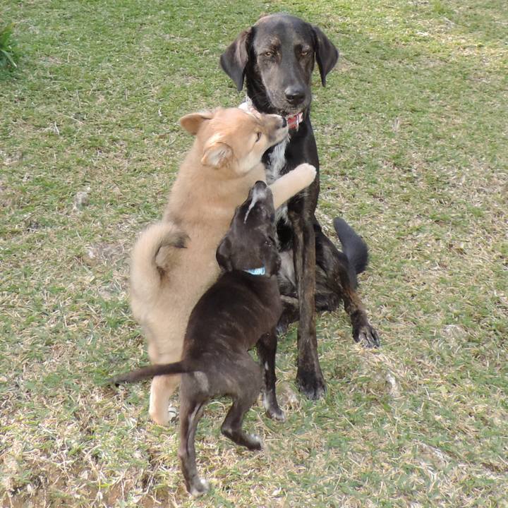 B03c14da e143 4256 90b3 65ff92e55162