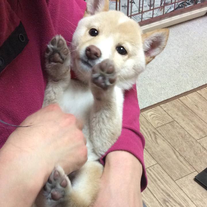 B03c2cb7 26ab 4184 a69e 4b1cfd874cb9