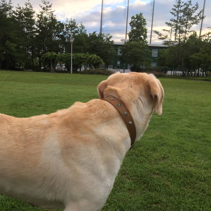 B03c8b0e 77d1 4c30 90e1 931722019ebd