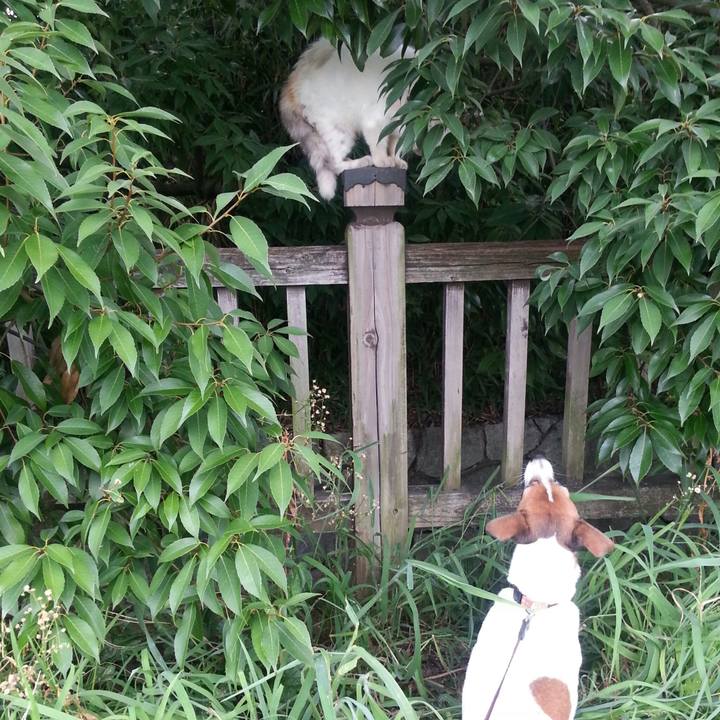 B03c9300 c91c 463e 8b8f ad053e7ca88e