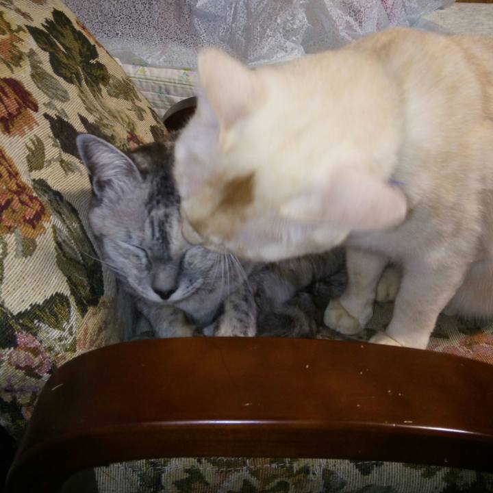 B03e8b68 8ff7 4e48 9d8c af65f6377539