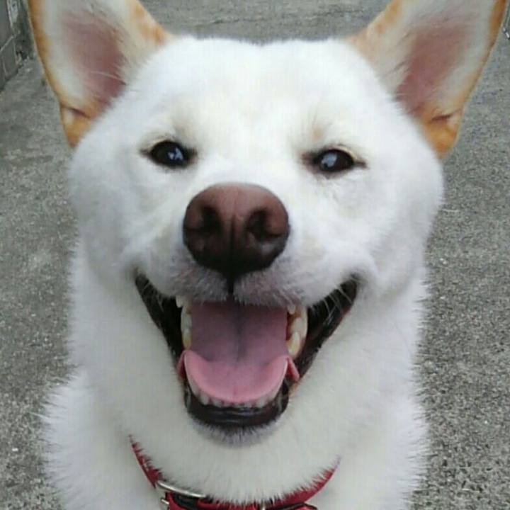 B03eab83 1697 43de bb31 52f25585f312