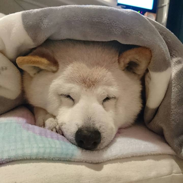 B03f138d 202a 4754 bce8 aaba39dcd7c6